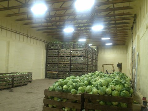 Spray foam insulation in an agricultural cold storage building
